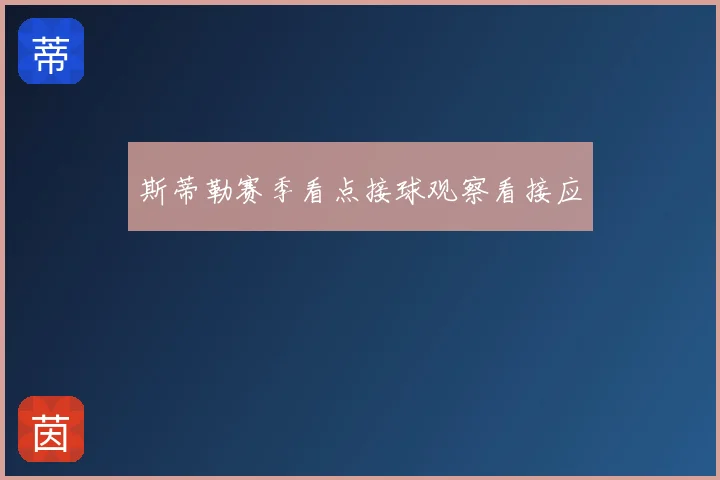 斯蒂勒赛季看点接球观察看接应
